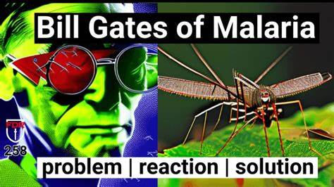 Bill Gates Mosquitoes Malaria