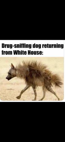 347447409_10221272733600047_4122485292059606476_n