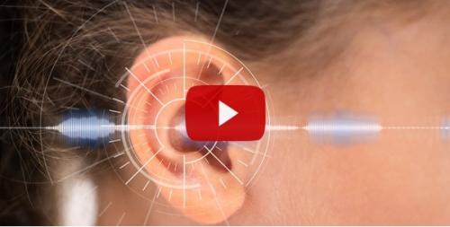 Harvard, “You have 10-14 Days to Treat Hearing Loss, Otherwise It’s Too Late”