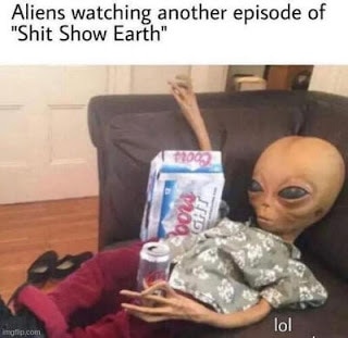 f72e3d3c-d01d-4d4c-a070-ec1c8b2a5d03