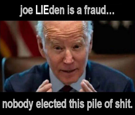 biden1333
