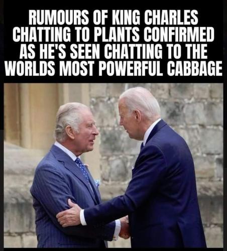 FB_IMG_1689254096758