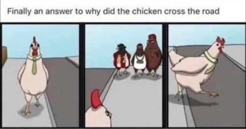 361880045_1421128618674181_3239411582070139725_n