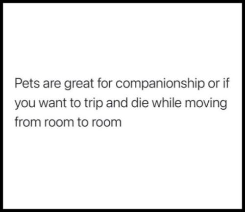 tumblr_afc39d216c52bee7c3db08503f8f9dc9_170145e5_540