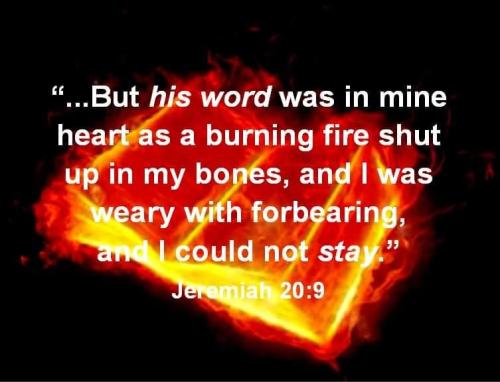 44b6ea01-fcb1-45a5-9d40-a11ac5cf8c18