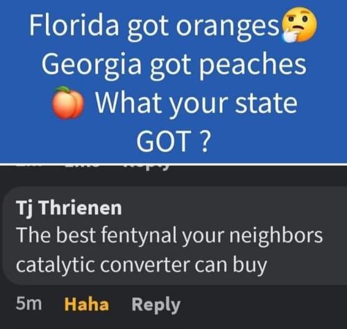 FB_IMG_1688760247849