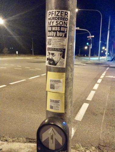 Pfizer murdered son
