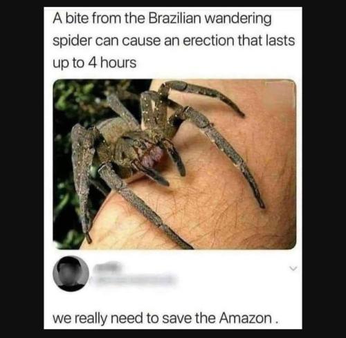 Screenshot_20230706_180215_YouTube