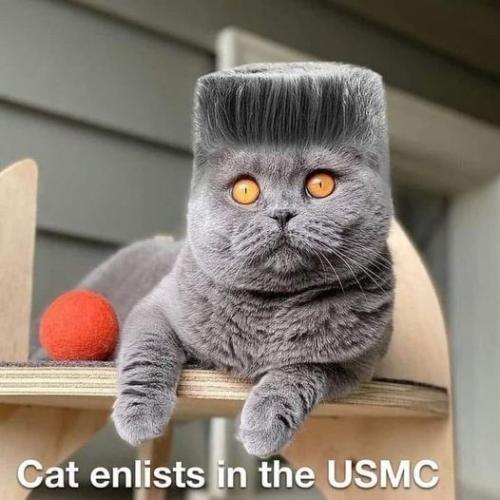 359076570_10161040907887774_9009191747110974061_n