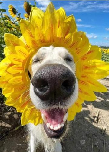 FB_IMG_1692878708881