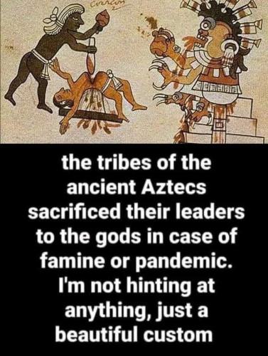 FB_IMG_1691495477728