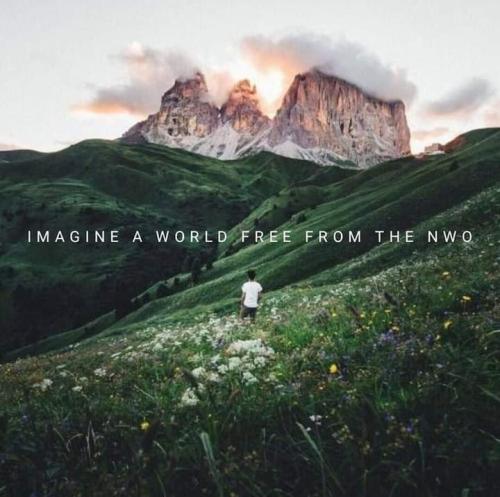 a92a39dc-4a8f-46ce-8e50-a096532b3750