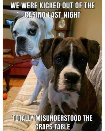 FB_IMG_1692769442616