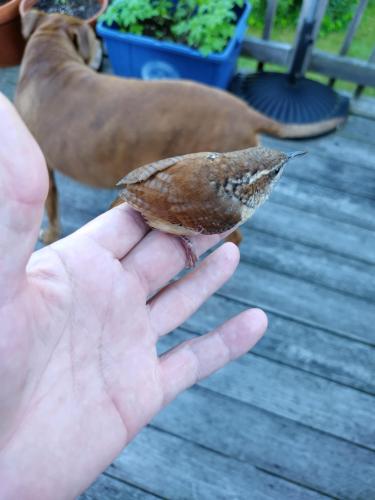 IMG_20220707_075949_MP