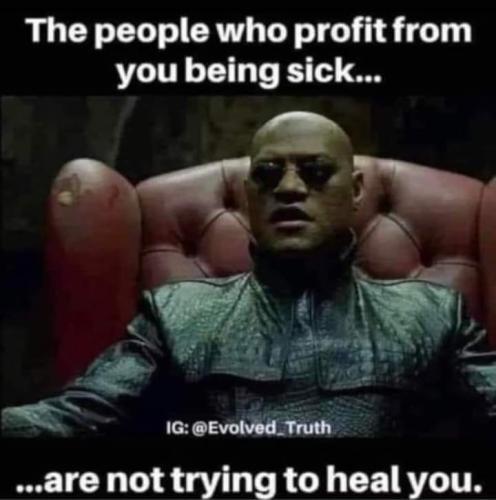 FB_IMG_1693366354040
