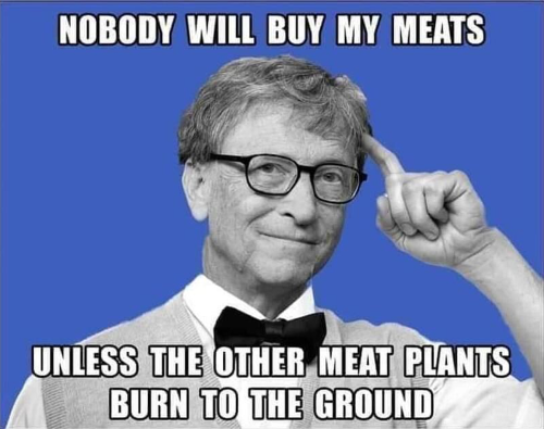 Bill Gates meat