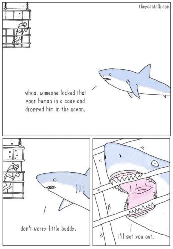 shark week