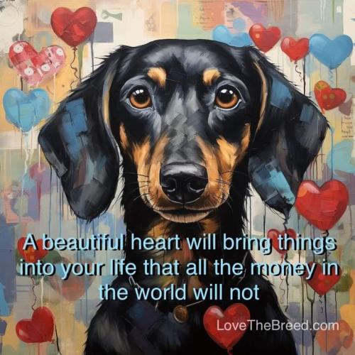 FB_IMG_1691633768040