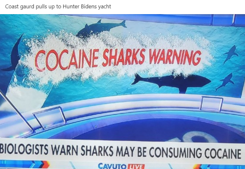 Screenshot 2023-08-02 103301