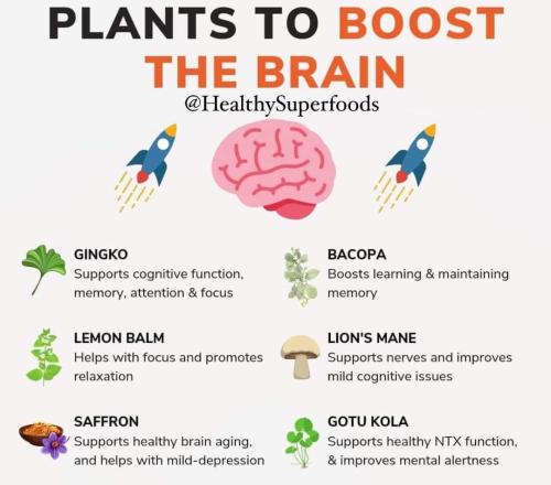 IMG_20230818_223841_134