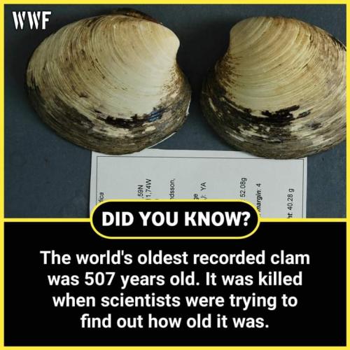 FB_IMG_1693397913963