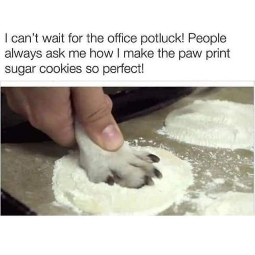 FB_IMG_1693026373609