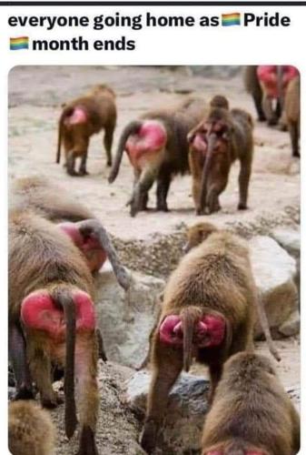 FB_IMG_1691364315845