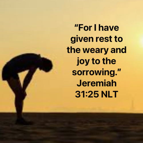 a50dc7a0d931638efea720dc94a7ad12