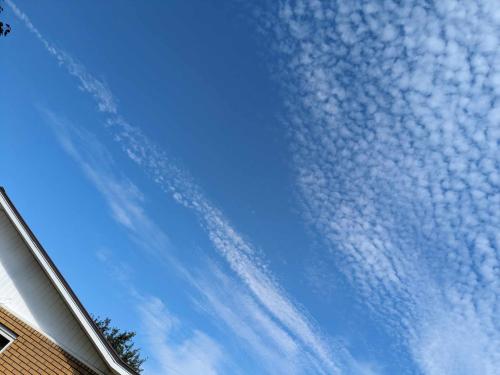 received_242139958250388