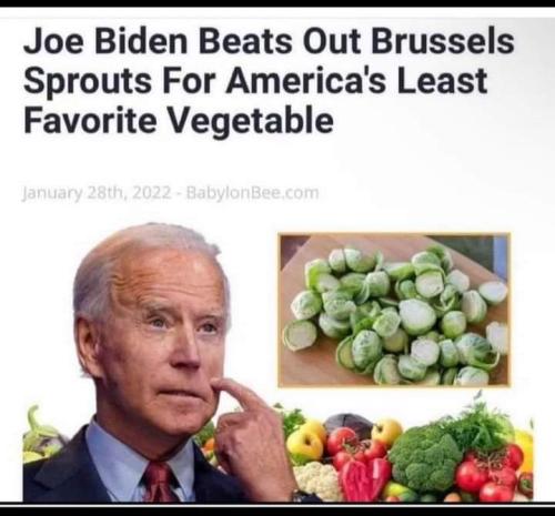 FB_IMG_1692641645739