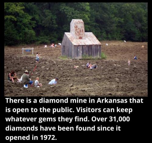 FB_IMG_1692703833320