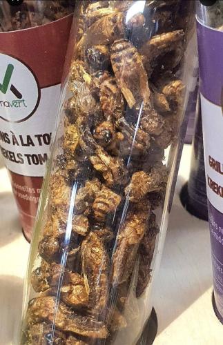 IMG_20230823_083432_901