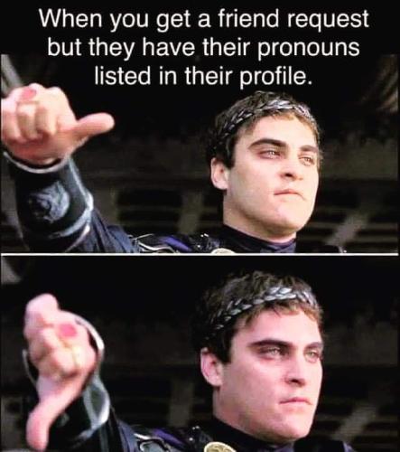 FB_IMG_1691949744175