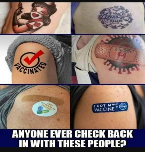 Screenshot_20230822_205213_YouTube