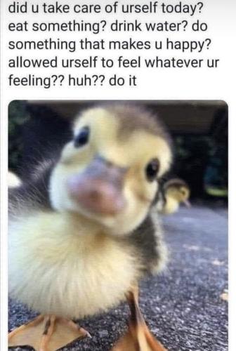 photo_2023-08-18_19-37-25