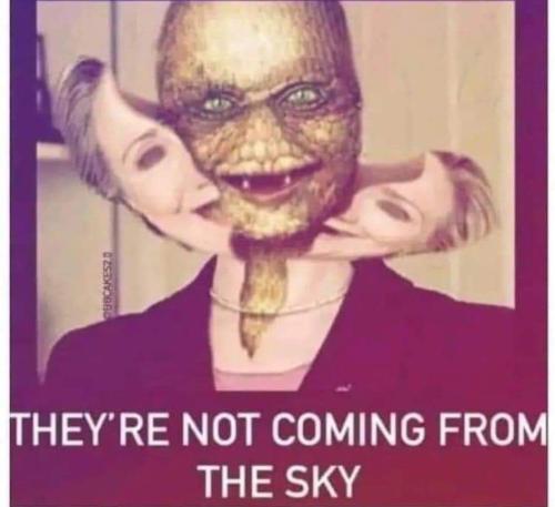 FB_IMG_1692026142120