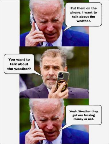 criminal activity115