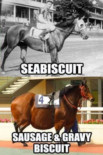 seabiscuit