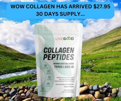 FB_IMG_1690886444477