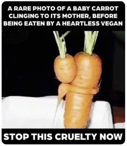 carrot