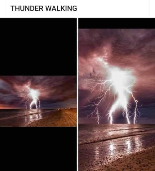 FB_IMG_1691101318012