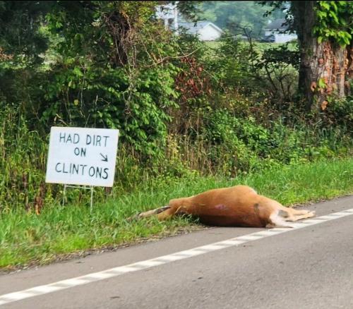 Screenshot_20230802_191425_Instagram