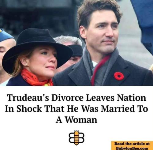 FB_IMG_1691157535537