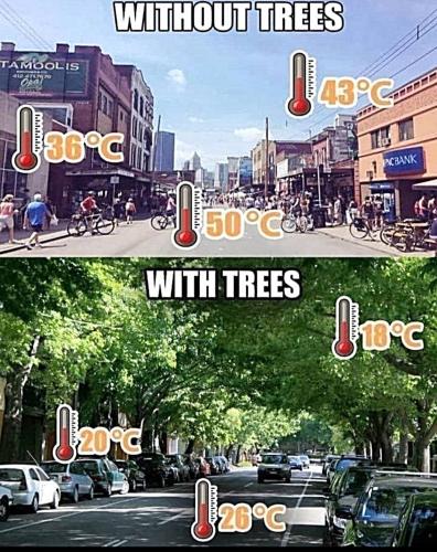 IMG_20230829_040818_679