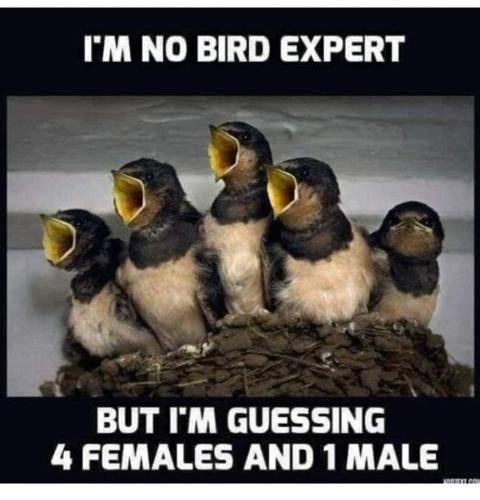 FB_IMG_1691612417742