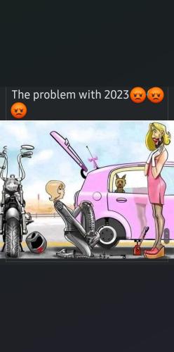 orca-image-1030505019