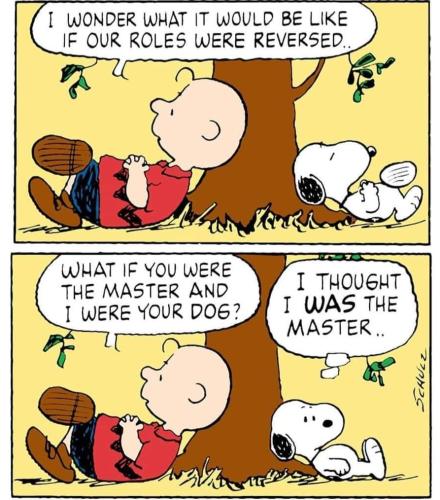 Screenshot_20230809_045247_Facebook