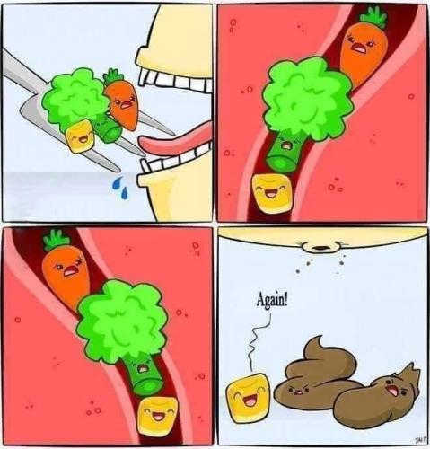 FB_IMG_1692039411585