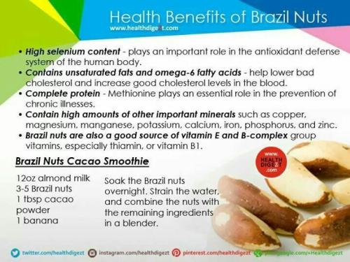 Brazil nuts health benefits