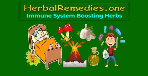 !  Herbalremedies.one - Immune System Boosting Herbs